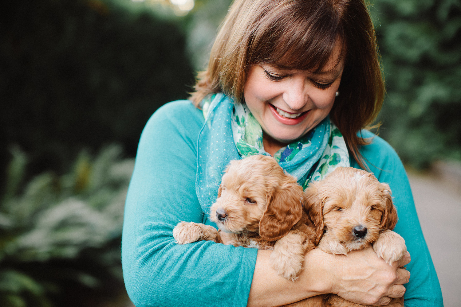 Oregon Based Australian Labradoodle Breeders Mountain Park Labradoodles